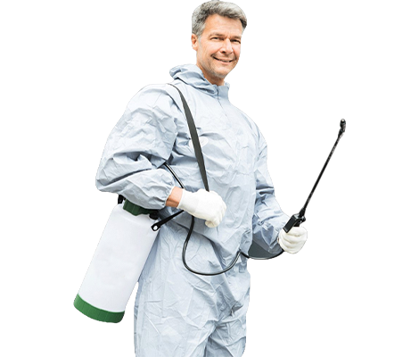best pest control services in Greensboro Bend, VT