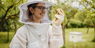 Bee Removal in Charleston
