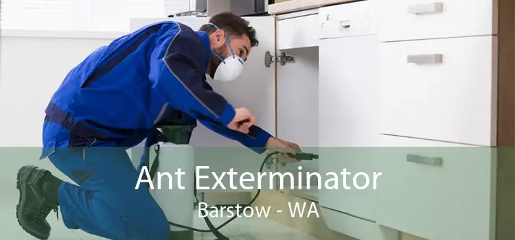 Ant Exterminator Barstow - WA