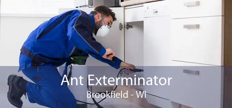 Ant Exterminator Brookfield - WI