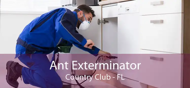 Ant Exterminator Country Club - FL