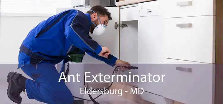 Ant Exterminator Eldersburg - MD