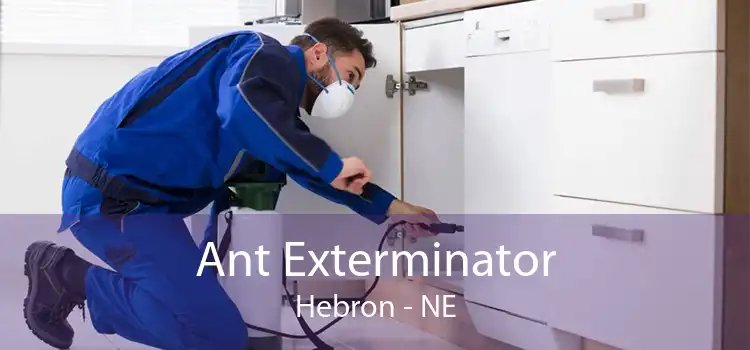 Ant Exterminator Hebron - NE