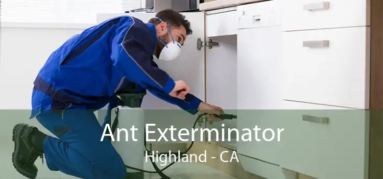 Ant Exterminator Highland - CA