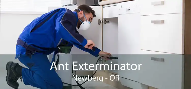 Ant Exterminator Newberg - OR