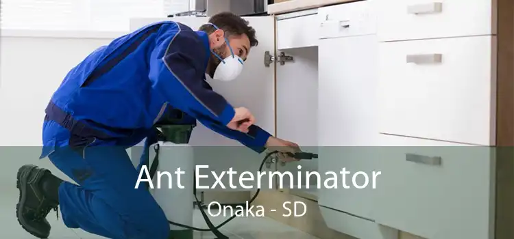 Ant Exterminator Onaka - SD