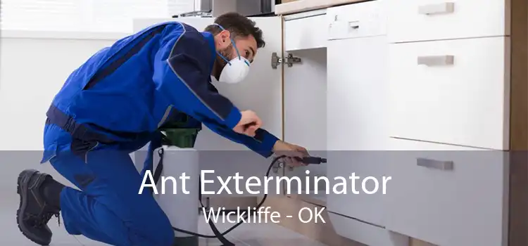 Ant Exterminator Wickliffe - OK