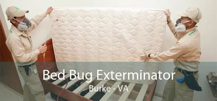 Bed Bug Exterminator Burke - VA