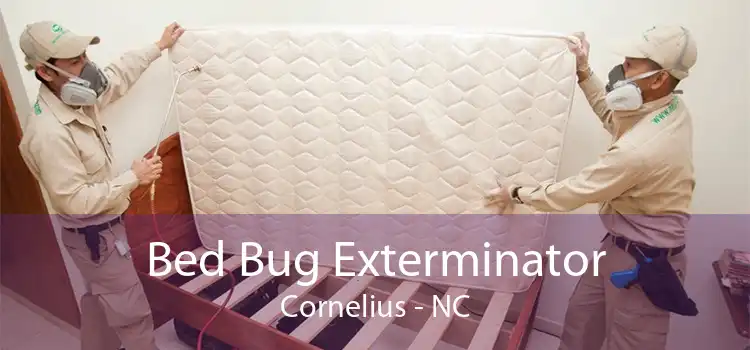 Bed Bug Exterminator Cornelius - NC