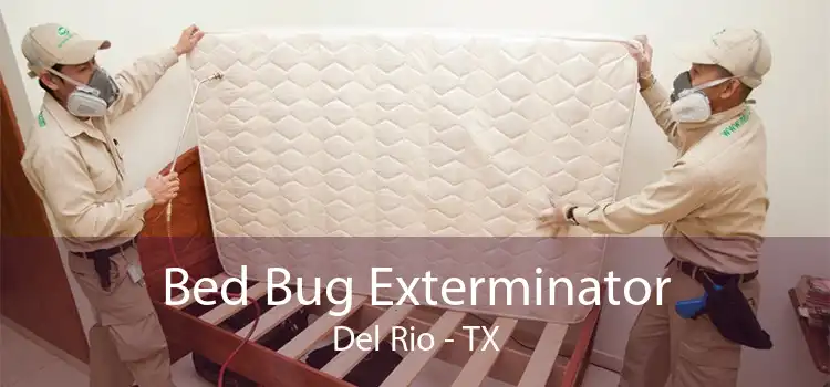 Bed Bug Exterminator Del Rio - TX