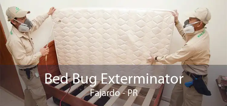 Bed Bug Exterminator Fajardo - PR