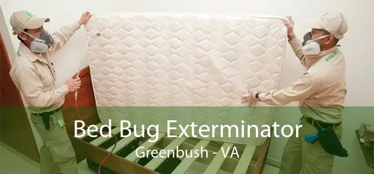 Bed Bug Exterminator Greenbush - VA