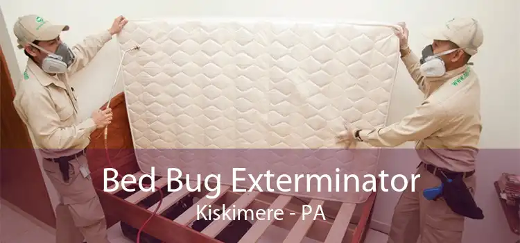 Bed Bug Exterminator Kiskimere - PA