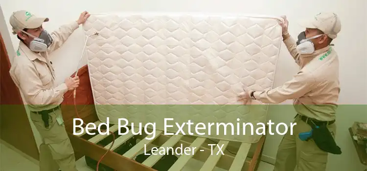 Bed Bug Exterminator Leander - TX