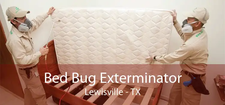 Bed Bug Exterminator Lewisville - TX