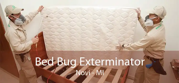 Bed Bug Exterminator Novi - MI