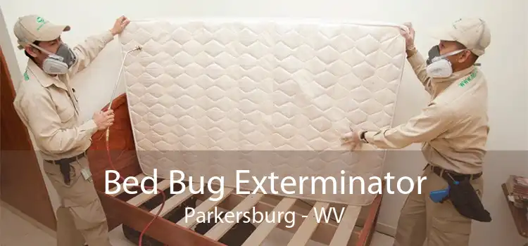 Bed Bug Exterminator Parkersburg - WV