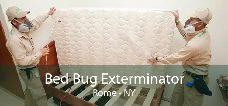 Bed Bug Exterminator Rome - NY