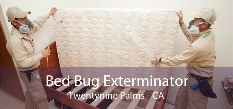 Bed Bug Exterminator Twentynine Palms - CA