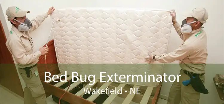 Bed Bug Exterminator Wakefield - NE