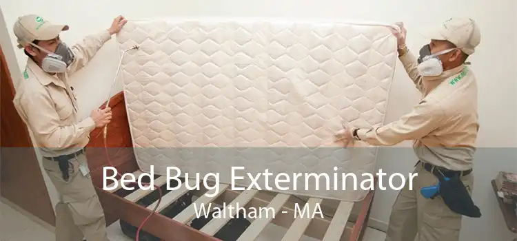 Bed Bug Exterminator Waltham - MA