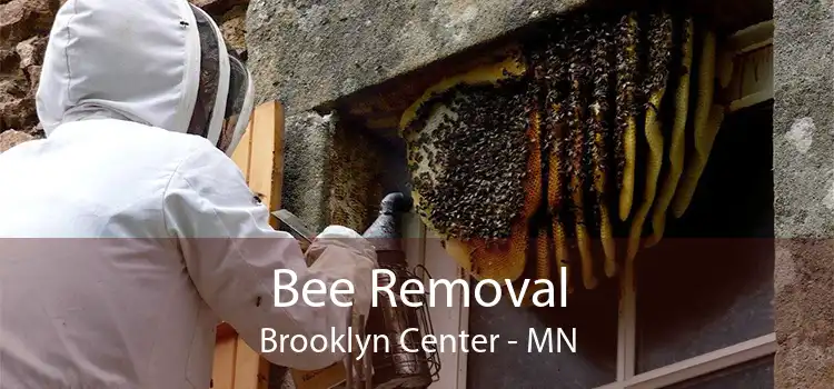 Bee Removal Brooklyn Center - MN