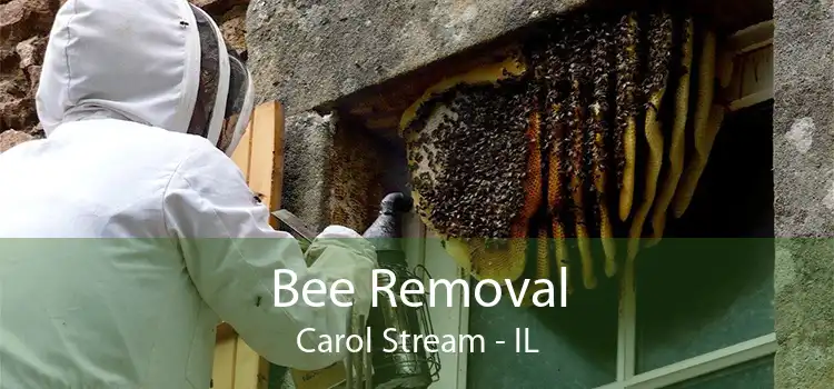 Bee Removal Carol Stream - IL