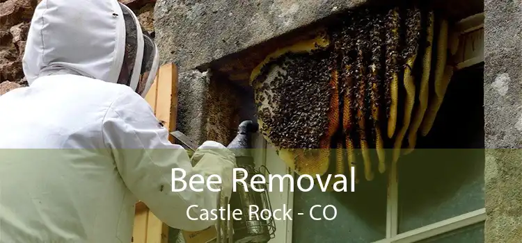 Bee Removal Castle Rock - CO