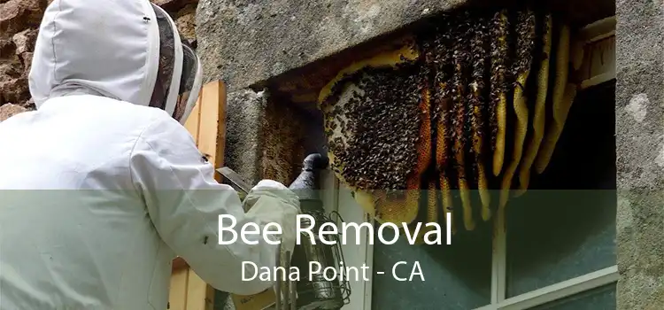 Bee Removal Dana Point - CA