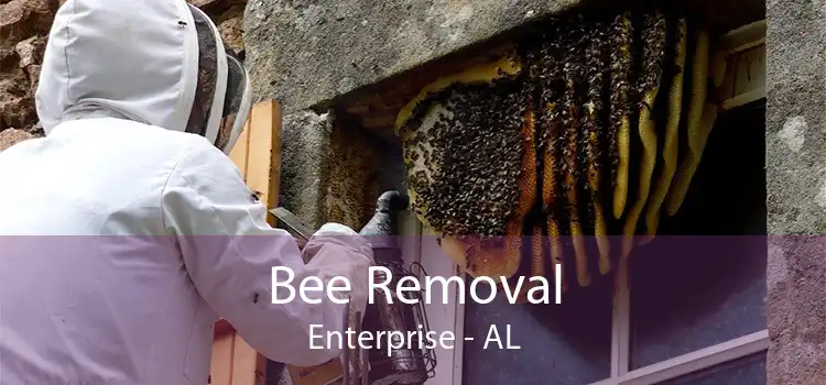 Bee Removal Enterprise - AL