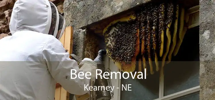 Bee Removal Kearney - NE