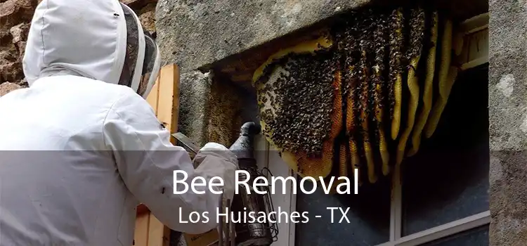 Bee Removal Los Huisaches - TX