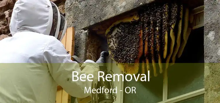 Bee Removal Medford - OR