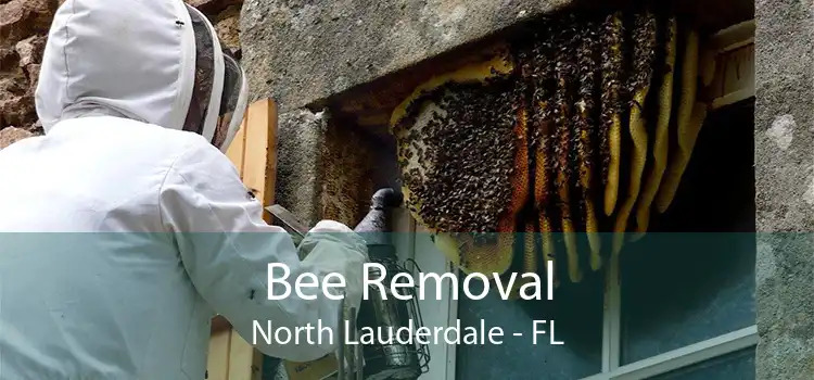 Bee Removal North Lauderdale - FL