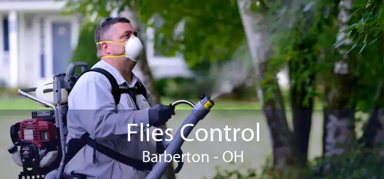 Flies Control Barberton - OH