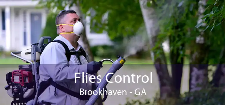 Flies Control Brookhaven - GA