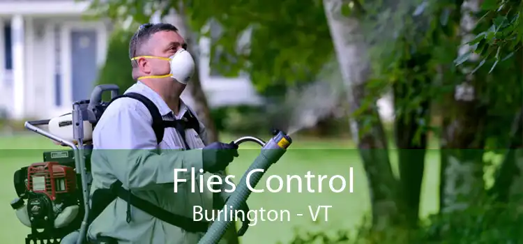 Flies Control Burlington - VT