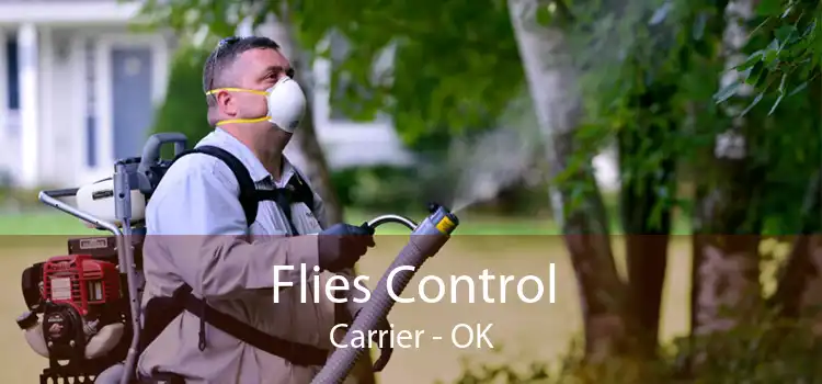 Flies Control Carrier - OK