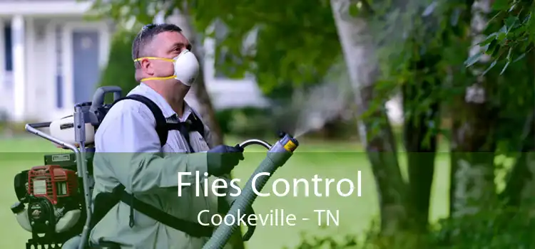 Flies Control Cookeville - TN