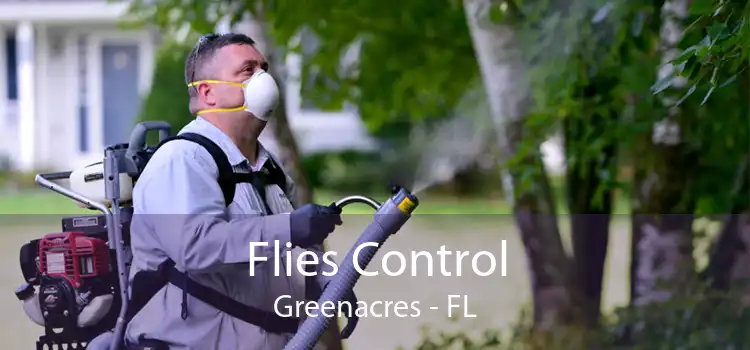 Flies Control Greenacres - FL