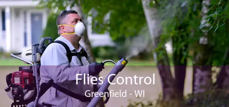 Flies Control Greenfield - WI