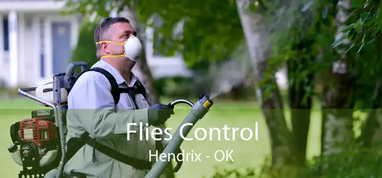 Flies Control Hendrix - OK