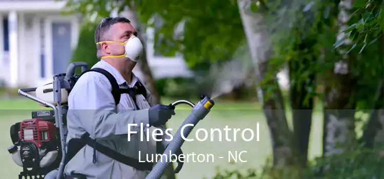 Flies Control Lumberton - NC