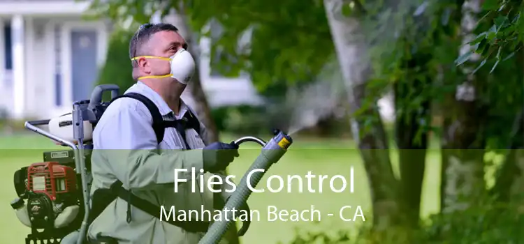 Flies Control Manhattan Beach - CA