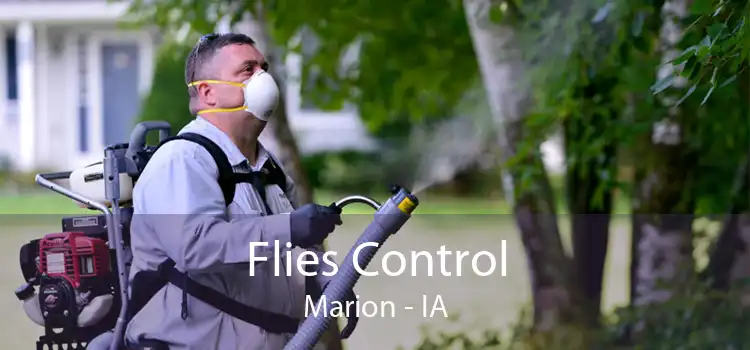 Flies Control Marion - IA