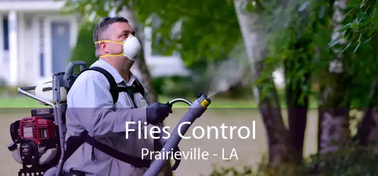 Flies Control Prairieville - LA