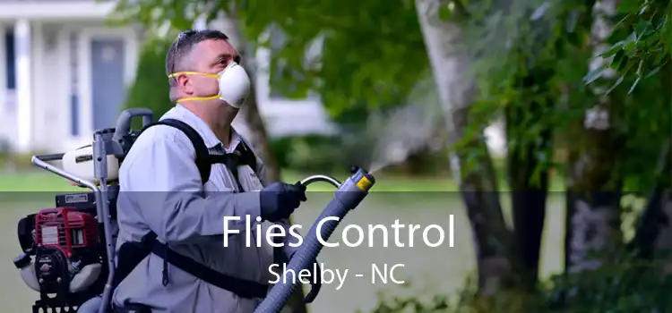 Flies Control Shelby - NC