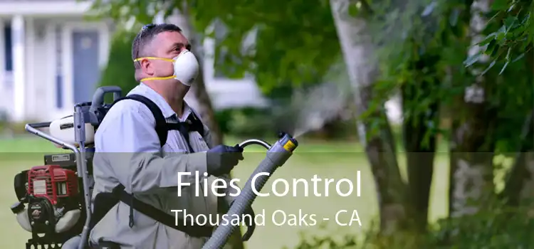 Flies Control Thousand Oaks - CA