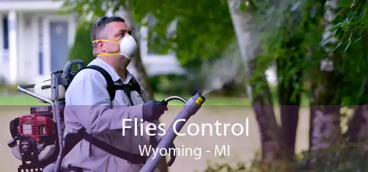 Flies Control Wyoming - MI