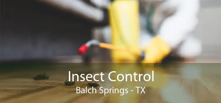 Insect Control Balch Springs - TX